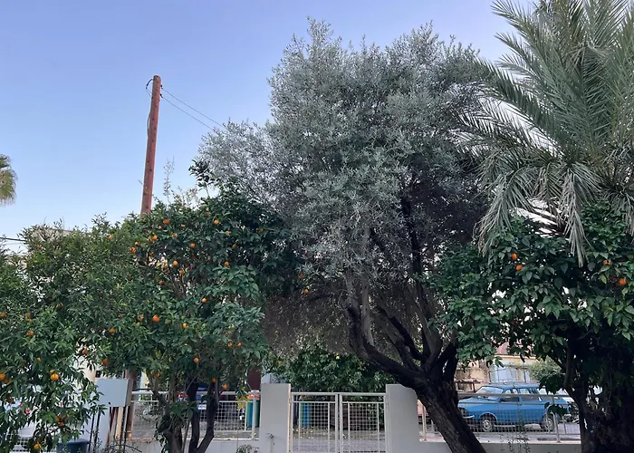 1947 Rescued Stone House Vakantiehuis Nicosia